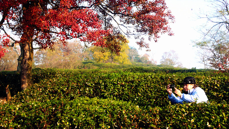P1160201__.jpg
