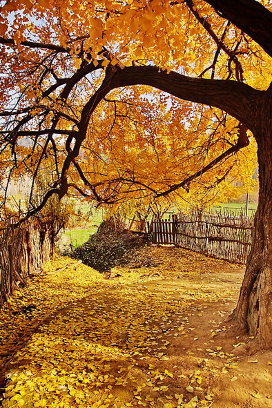 2012_11_18_0162.jpg