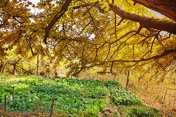2012_11_18_0095.jpg