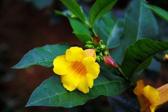20100223181944_11369.jpg