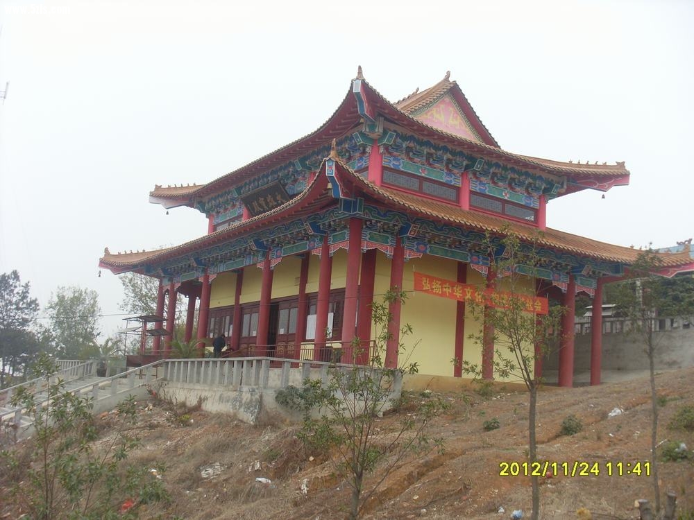 SL381833.JPG