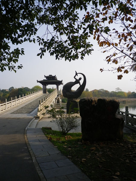 IMGP7848.JPG