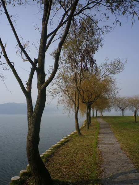 IMGP7785.JPG