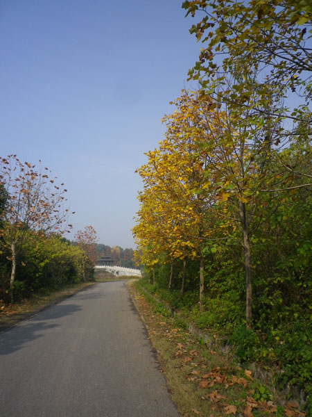 IMGP7787.JPG