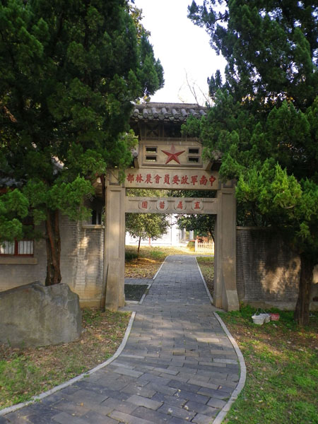 IMGP7844.JPG