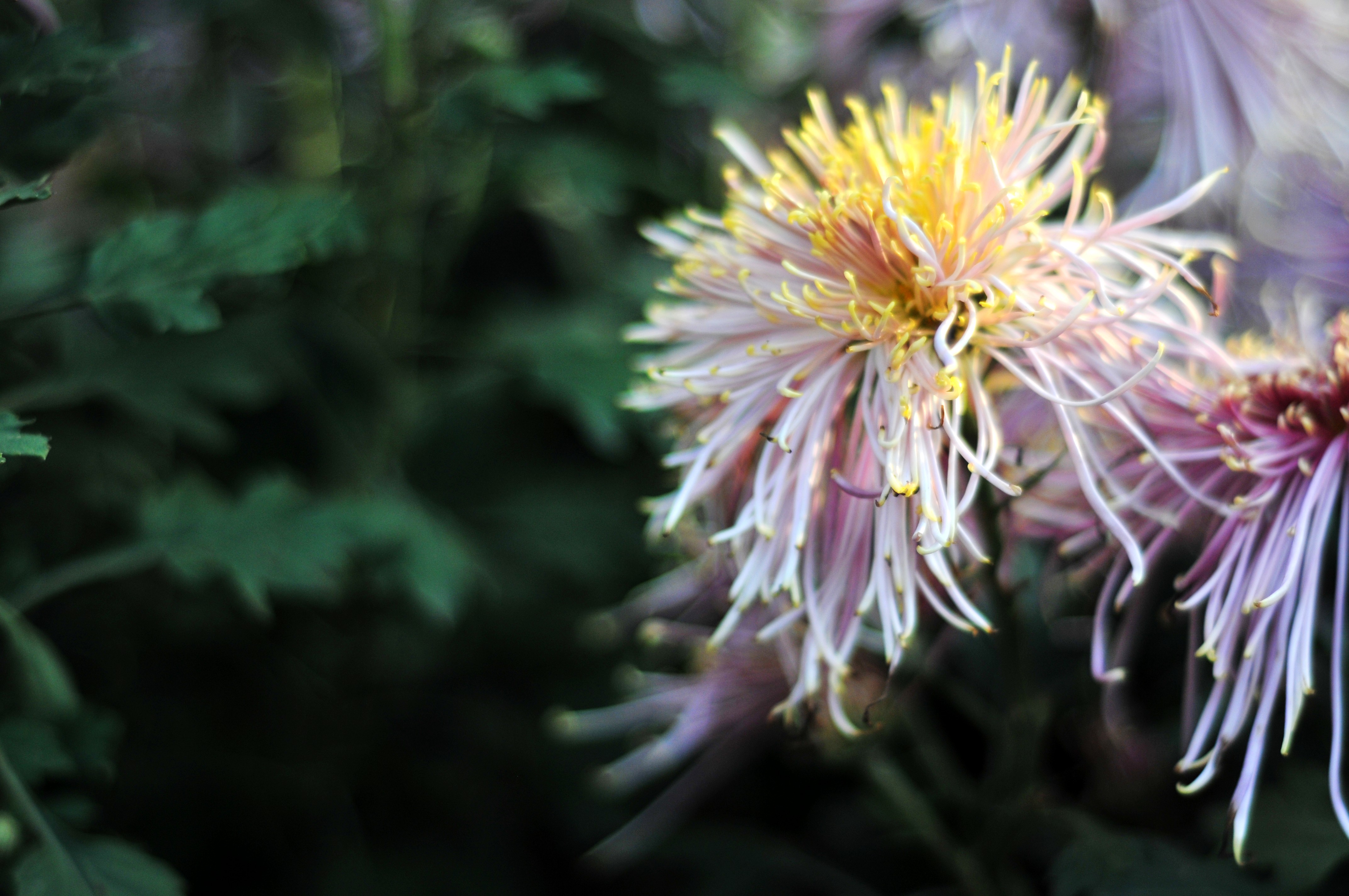 DSC_79241.jpg