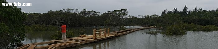 nEO_IMG_DSC00008.jpg