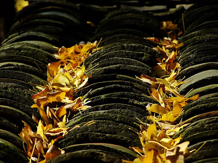 Ƭ 092.jpg