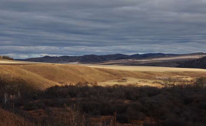 DSC_0334.jpg