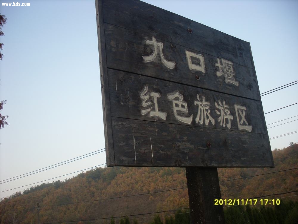 SL381788.JPG