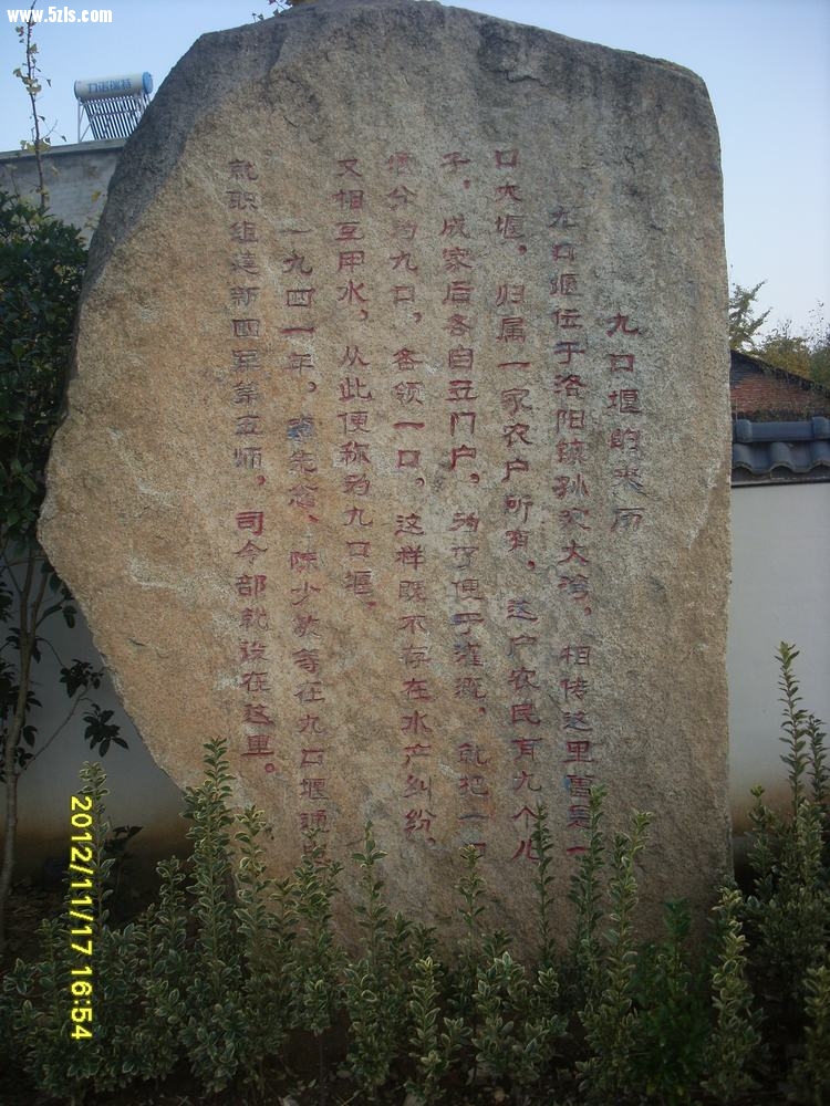 SL381769.JPG