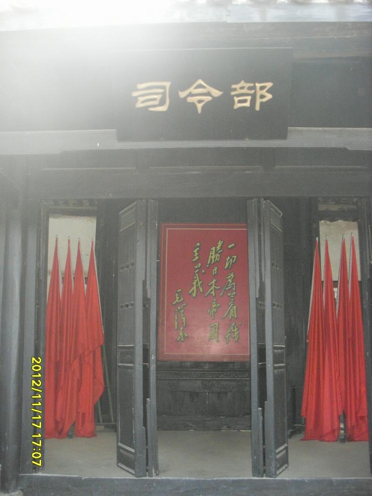SL381784.JPG