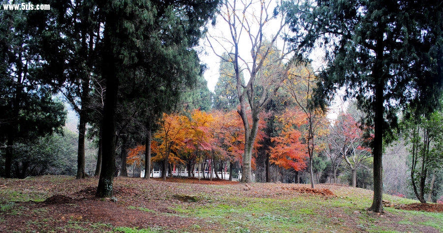 DSC_063421.jpg