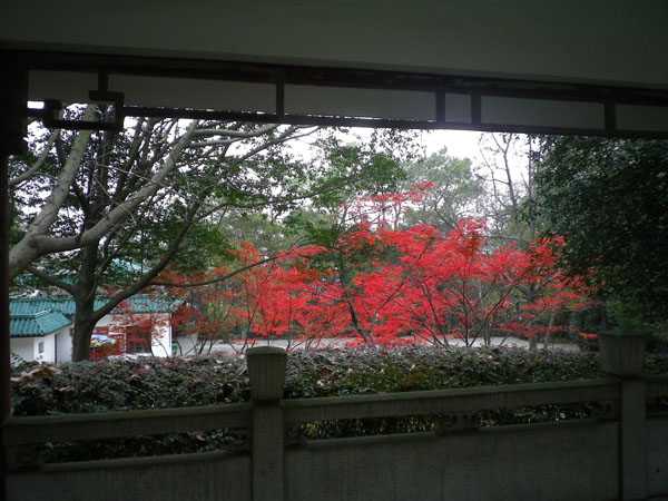 IMGP8040.JPG