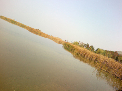 01.jpg