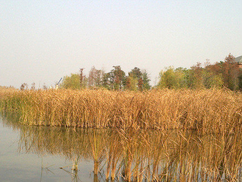 02.jpg