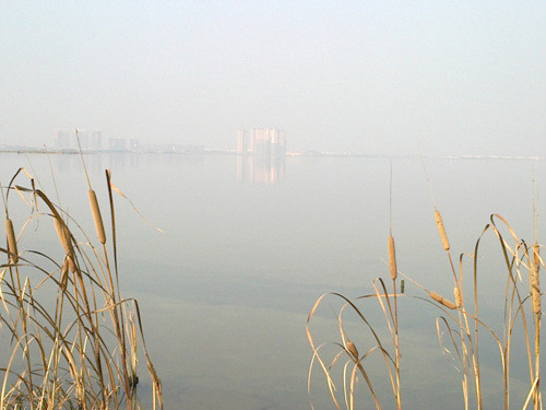 04.jpg