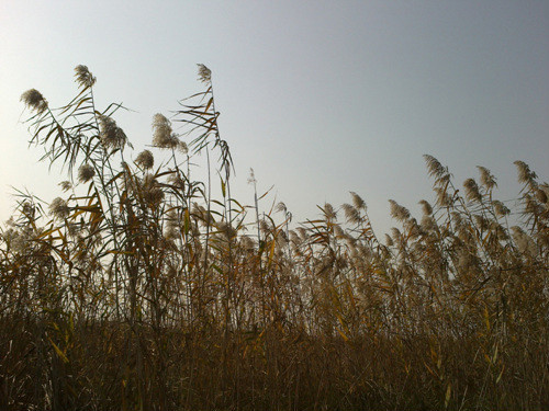 05.jpg