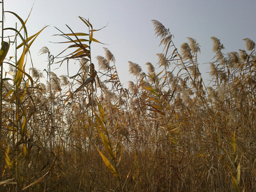 06.jpg
