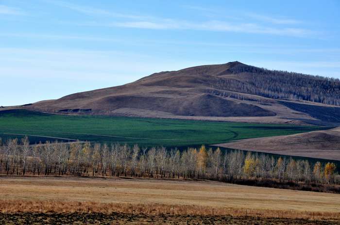 DSC_0383.jpg