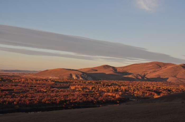 DSC_0779.jpg