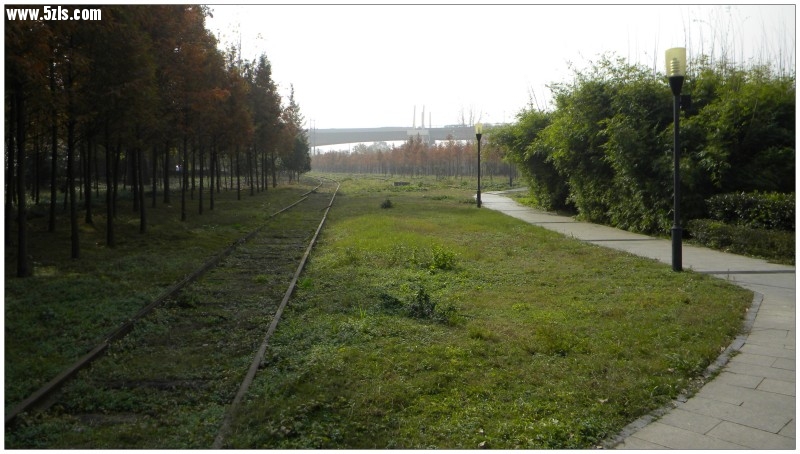 conew_Ƭ 024.jpg