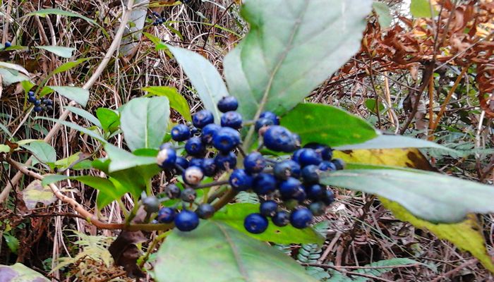 2012-11-28 12.19.13.jpg