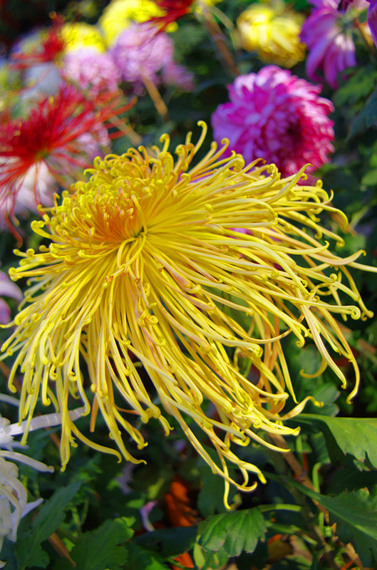 IMGP7890_.jpg