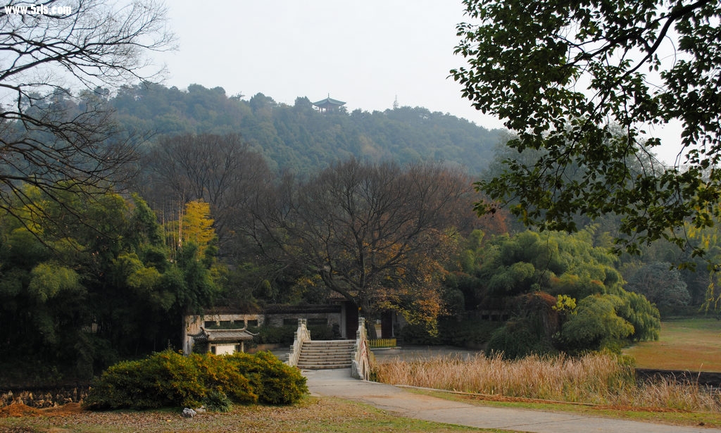DSC_0010.jpg