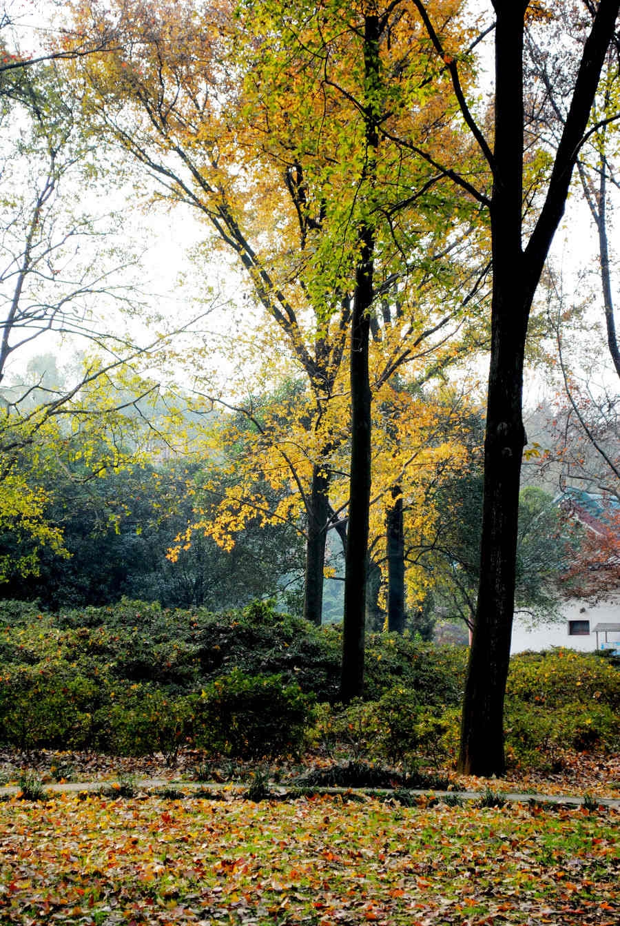 DSC_0026.jpg