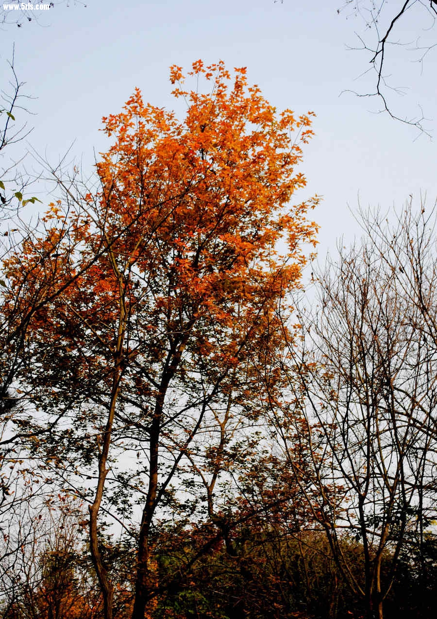 DSC_0056.jpg