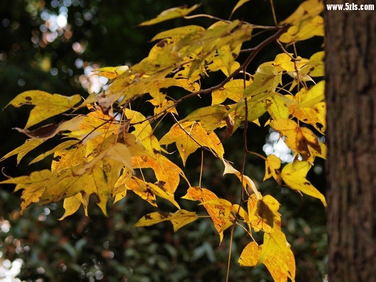 PC080151.jpg