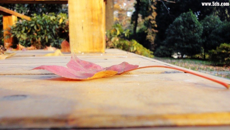 DSC08906.jpg