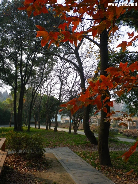 IMGP8065.JPG