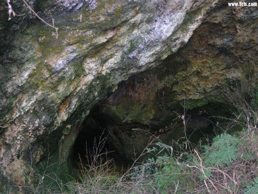 DSCN3756.jpg
