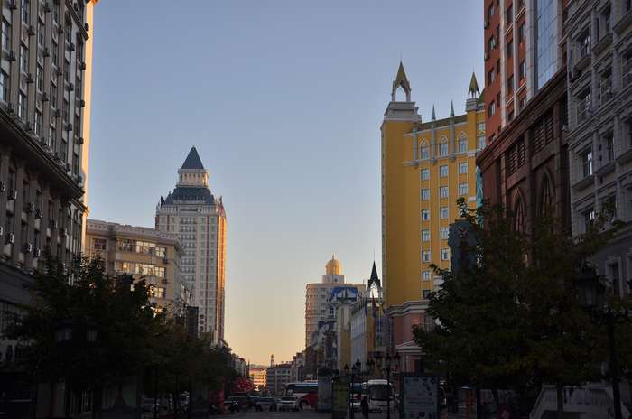 DSC_0293.jpg
