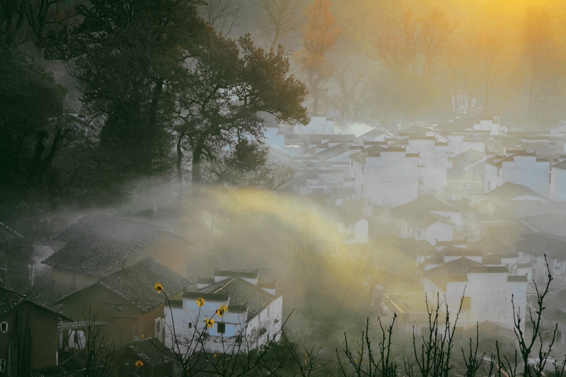 DPP_0096.jpg