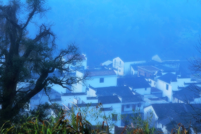DPP_0016.jpg