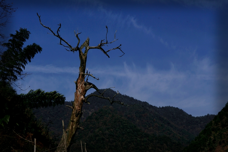 DPP_0053.jpg