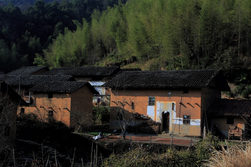 DPP_0063.jpg