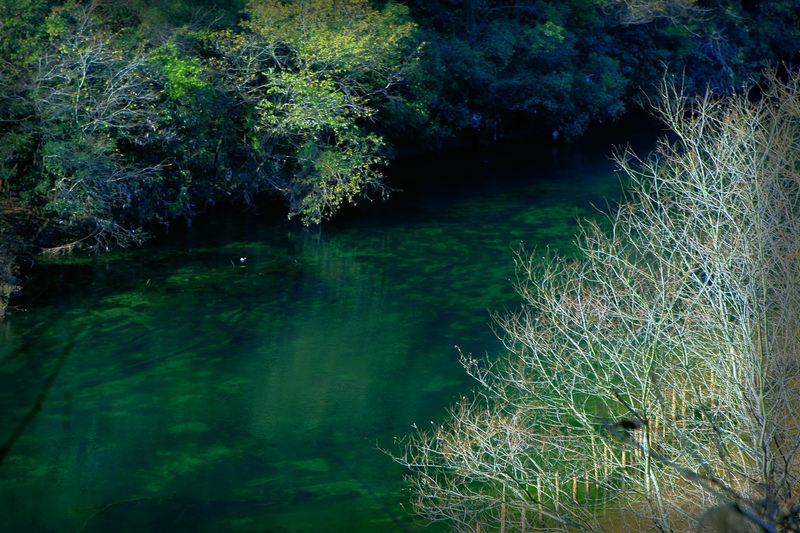 DPP_0060.jpg