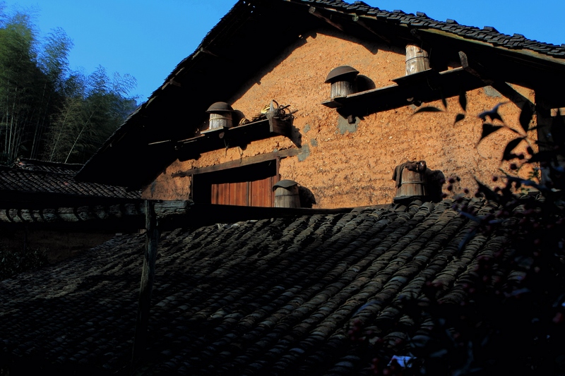 DPP_0069.jpg