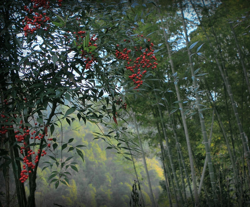 DPP_0068.jpg