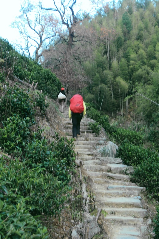 DPP_0072.jpg