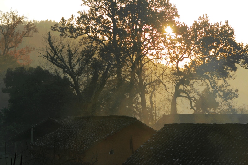 DPP_0105.jpg