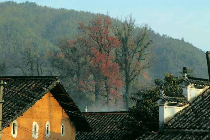 DPP_0117.jpg