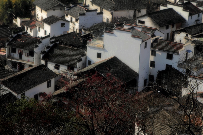 DPP_0130.jpg