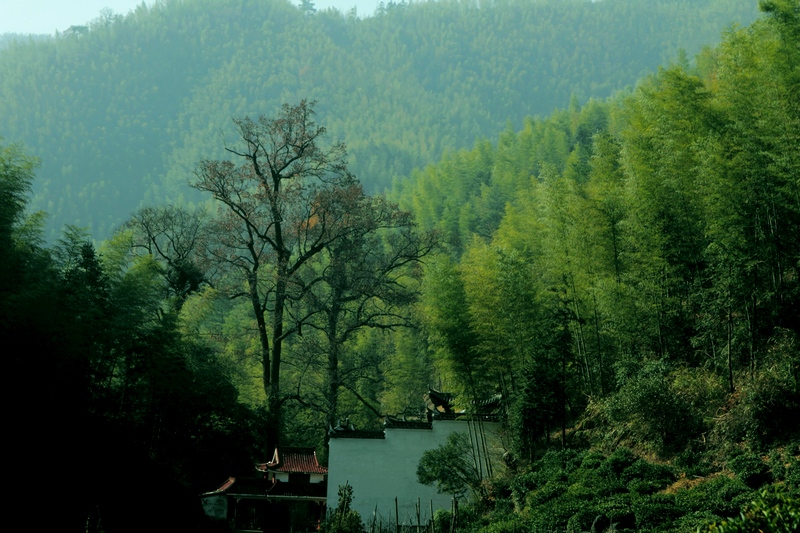 DPP_0138.jpg