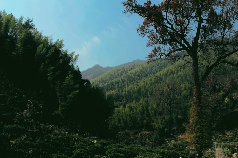 DPP_0140.jpg