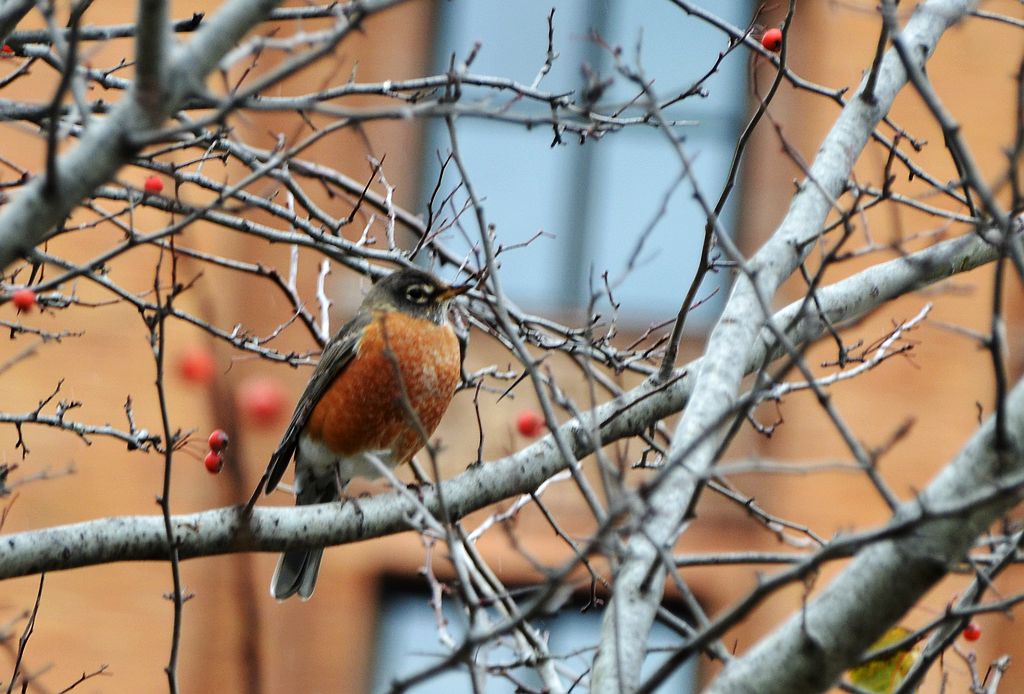 DSC_8754.jpg